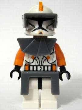 sw196